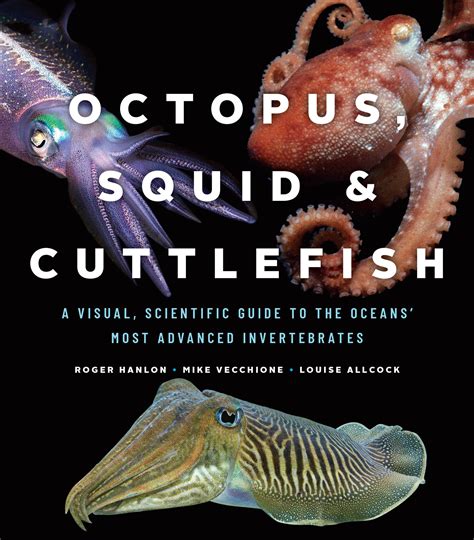 Octopus Squid And Cuttlefish A Visual Scientific Guide To The