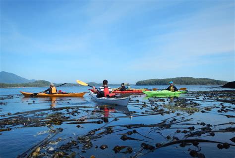 Ucluelet Kayaking Tours Jamies Whaling Station Ucluelet Bc