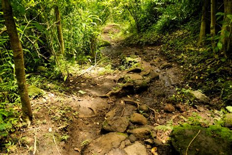 The 5 Best Hikes in Honolulu Hawaii | Hawaiian Explorer