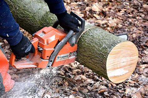 Cutting Down Trees Safety Cutting Firewood Using Chainsaws