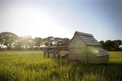 Blog — Higher Oak Farm