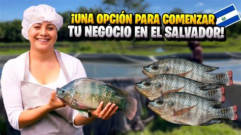 Asi Son Los Cultivos De Tilapia En Atiocoyo San Pablo Tacachico Youtube