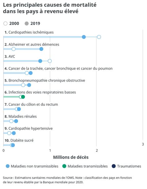 Les 10 Principales Causes De Mortalité