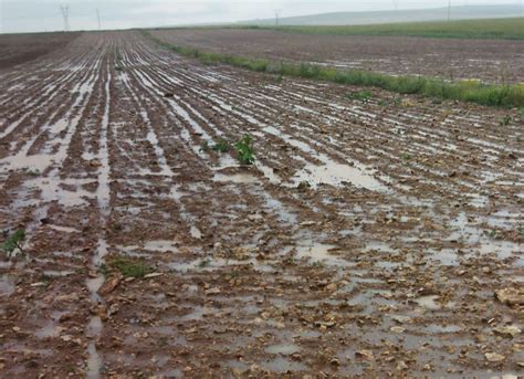 Konya Da Ya Mur Ya Devam Edecek Meteorolojiden Yeni Detaylar