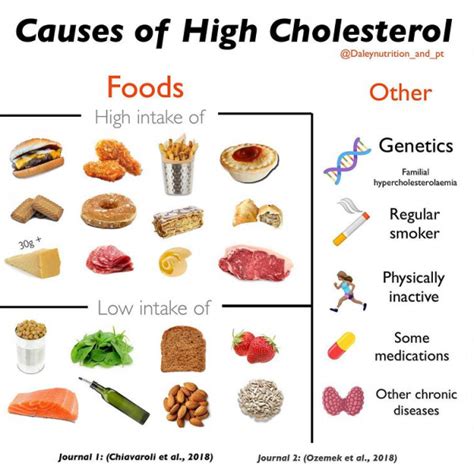 High Cholesterol Foods Daley Nutrition Community Team