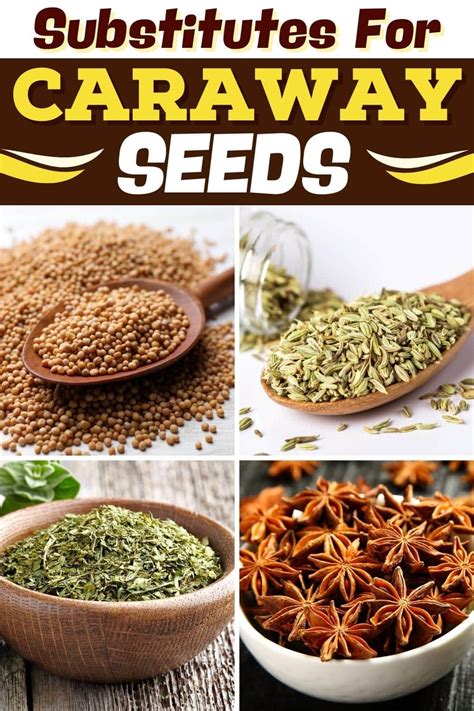 Best Substitutes For Caraway Seeds Insanely Good