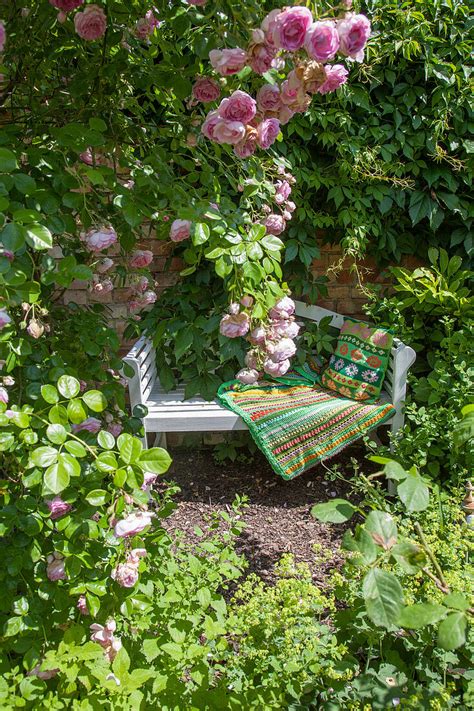 Romantischer Sitzplatz Mit Gartenbank Bild Kaufen