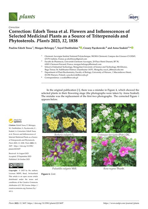 (PDF) Correction: Edorh Tossa et al. Flowers and Inflorescences of ...