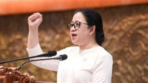 Ssstttt Puan Maharani Angkat Bicara Soal Isu Capres 01 Dan 03 Bergabung