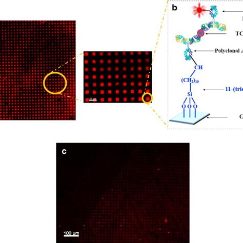 Pdf Joint Optimization Of Quality Factor And Sensitivity Research On