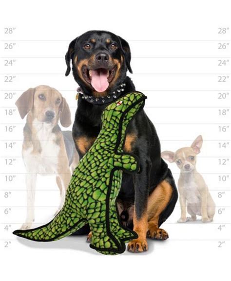 Tuffy Dinosaur T-Rex, 2-Pack Dog Toys - Macy's