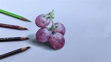 Grapes Drawing In Color