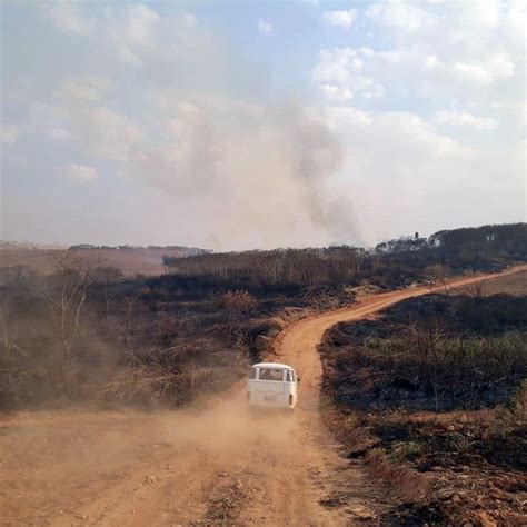 Inc Ndio Destr I Cerca De Hectares De Vegeta O Na Zona Rural De