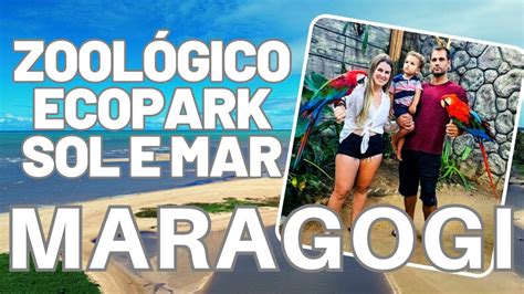 Zoológico Ecopark Sol e Mar Maragogi Alagoas YouTube