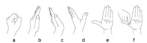 Figure 1 From Effectiveness Of Tendon And Nerve Gliding Exercises In