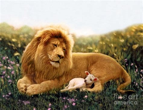 The Lion And The Lamb Digital Painting Mixed Media By Sandi Oreilly Pixels