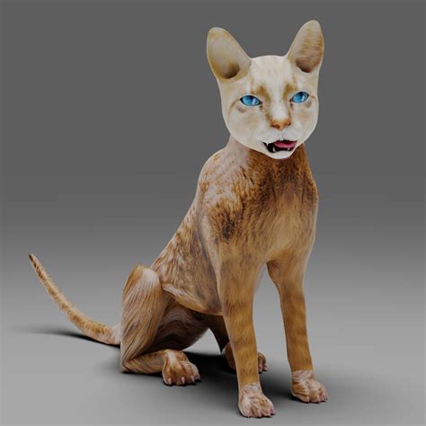 Cat White Rigged In Blender 3D Model TurboSquid 1984541