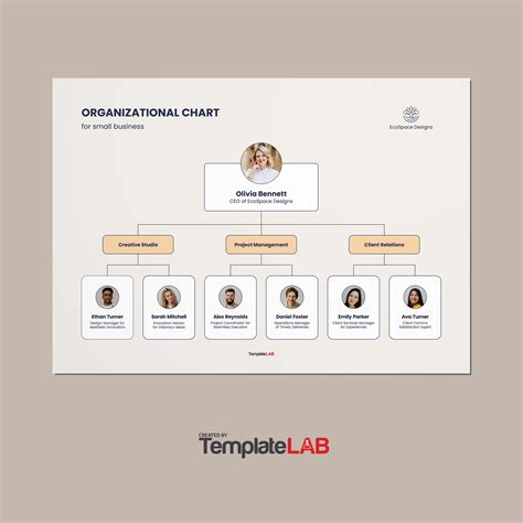 Company Structure Diagram Template