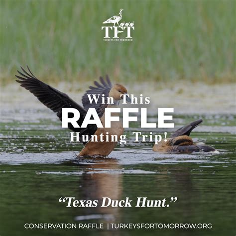 Raffle Prize 6 Texas Duck Hunt Turkeys For Tomorrow