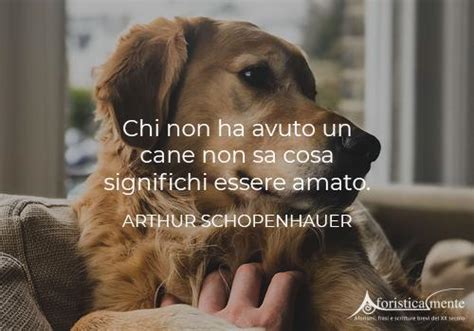 Frasi Per Il Cane Morto Scalelele