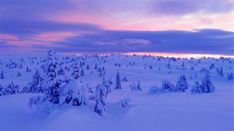 Papel de parede neve inverno céu Árvores natureza panorama