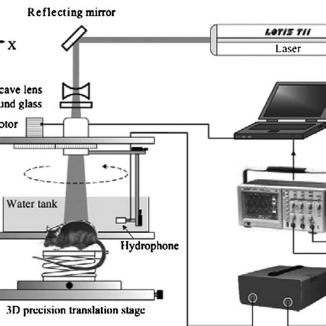 Schematic Diagram Of The Photoacoustic Imaging System Download