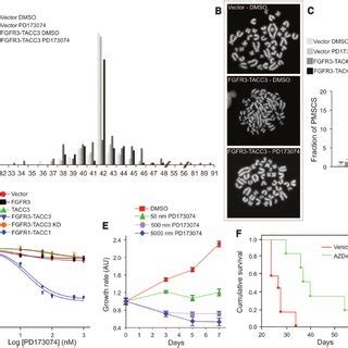 Fgfr Tacc Gene Fusion Identified By Whole Transcriptome Sequencing Of