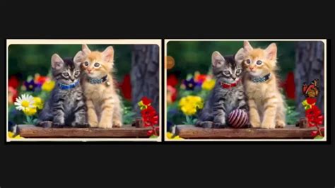 Brain Teaser Spot The Difference Can You Spot 5 Major Differences