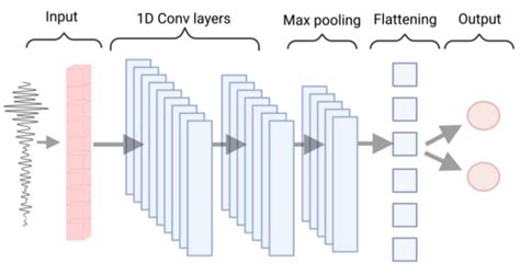 Detailed 1d Cnn Network Architecture With 1d Convolution Max Pooling