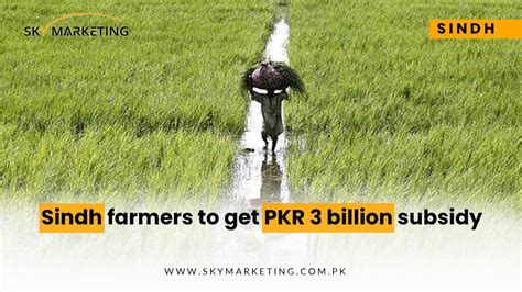 Sindh Farmers To Get Pkr 3 Billion Subsidy Sky Marketing