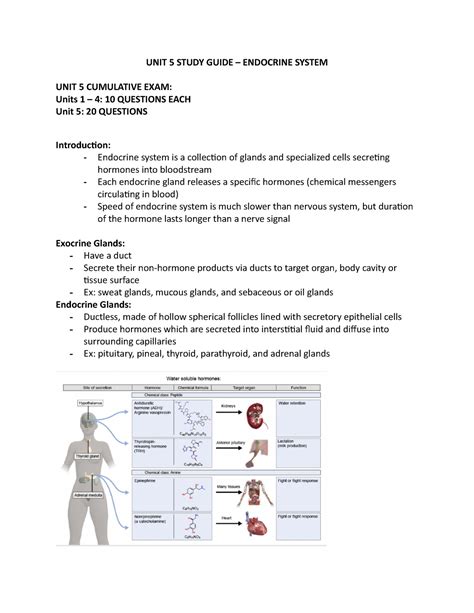 Bsc Unit Study Guide Endocrine Unit Study Guide