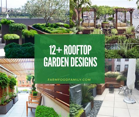 12 Best Rooftop Garden Ideas And Designs For 2024