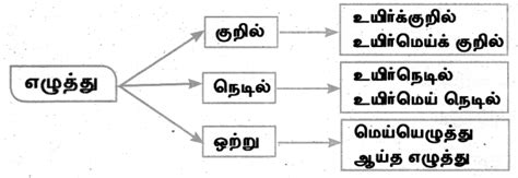 இலக்கணம் யாப்பு இலக்கணம் கேள்விகள் மற்றும் பதில்கள் இயல் 8 8 ஆம் வகுப்பு தமிழ் Grammar