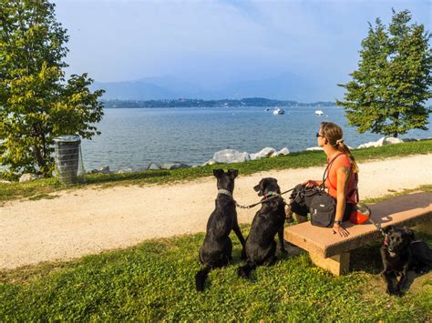 Campingpl Tze Am Gardasee Mit Hundestrand Hund Im Wohnmobil