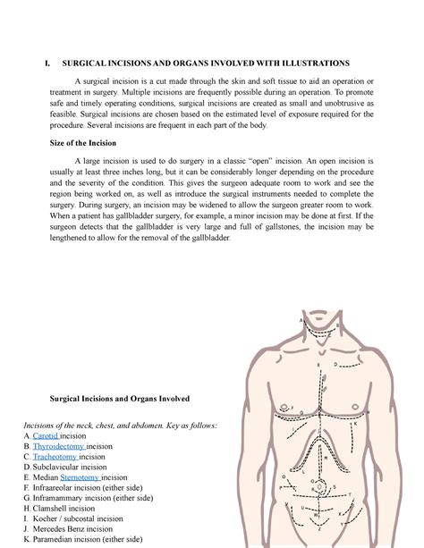 Surgical Incisions And Organs Involved With Illustrations I Surgical