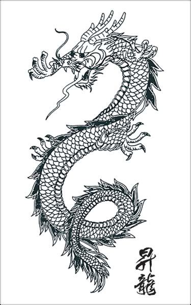 TATTOOS: Dragon Tattoo Stencils # 4