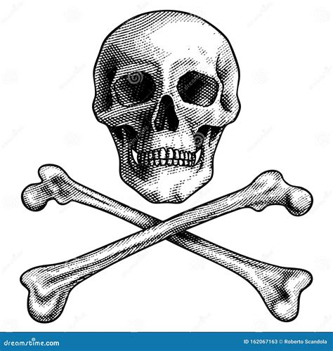 Sketch Vector Illustration Hand Drawn Human Skull And Crossbones Stock