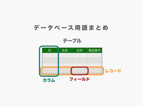 【データベース用語まとめ】テーブル、カラム、フィールド、レコードとは？ 初心者向け完全無料プログラミング入門