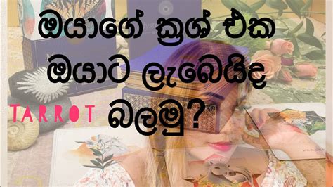 ඔයාගේ ක්‍රශ් එක ඔයාට ලැබෙයිද බලමුpickacard Tarrotreading Crush