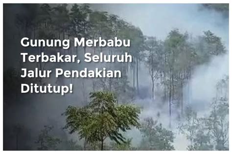 Gunung Merbabu Terbakar Seluruh Jalur Pendakian Ditutup Imbas Hutan