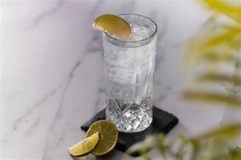 Gin and Tonic Cocktail Recipe by DrinksWorld