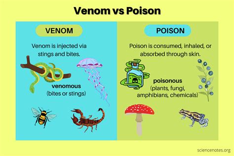 Venom vs Poison - Difference Between Venomous and Poisonous