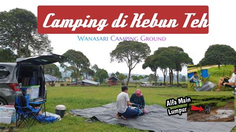 Camping Ground Wanasari Pangalengan Camping Di Kebun Teh YouTube