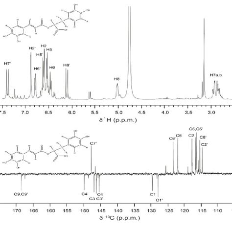 A 1d 1h Nmr And B 1d 13c Nmr Spectra Of Rosmarinic Acid Download