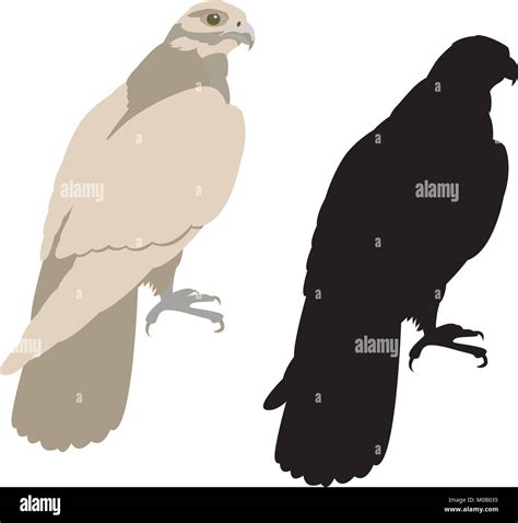 Black Eagle Silhouettevector Ilustración Estilo Plano Lateral De Perfil