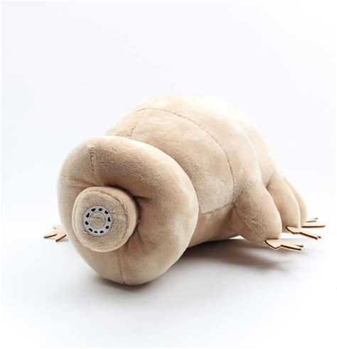 Tardigrade Plush Toy Soft Stuffed Toy Plush Doll Tardigrade Soft Stuffed Cushion Popular