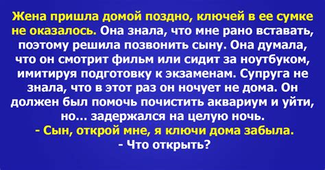 Жена пришла домой поздно ключей в ее сумке не оказалось ВОТ ТАК ТАК