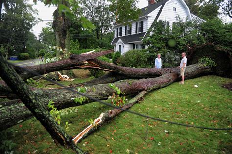 Severe Storm Causes Flooding Downed Trees