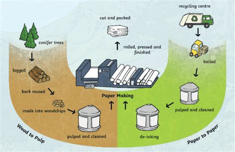 Flow Diagram Of How Paper Is Made Process Of Making Pulp And