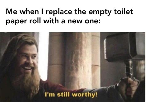 Replacing the roll of toilet paper is so difficult. : r/memes